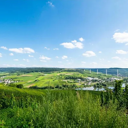 Chateau-de-la-moselle