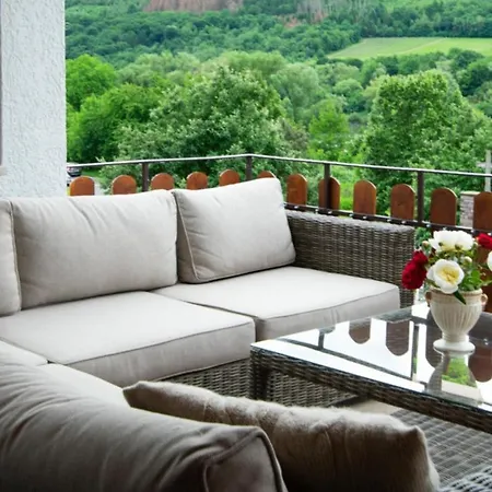 Chateau-de-la-moselle *